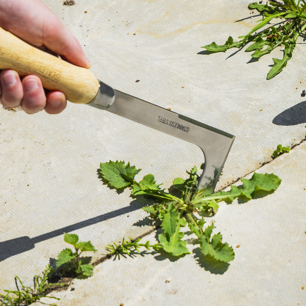 Weeding Knife with Ash Handle & Stainless Steel Blade GTWH009