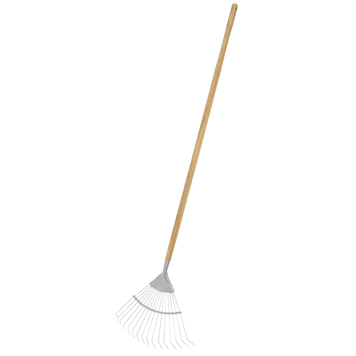 Lawn Rake with Long Ash Handle & Stainless Steel Tines GTWH010