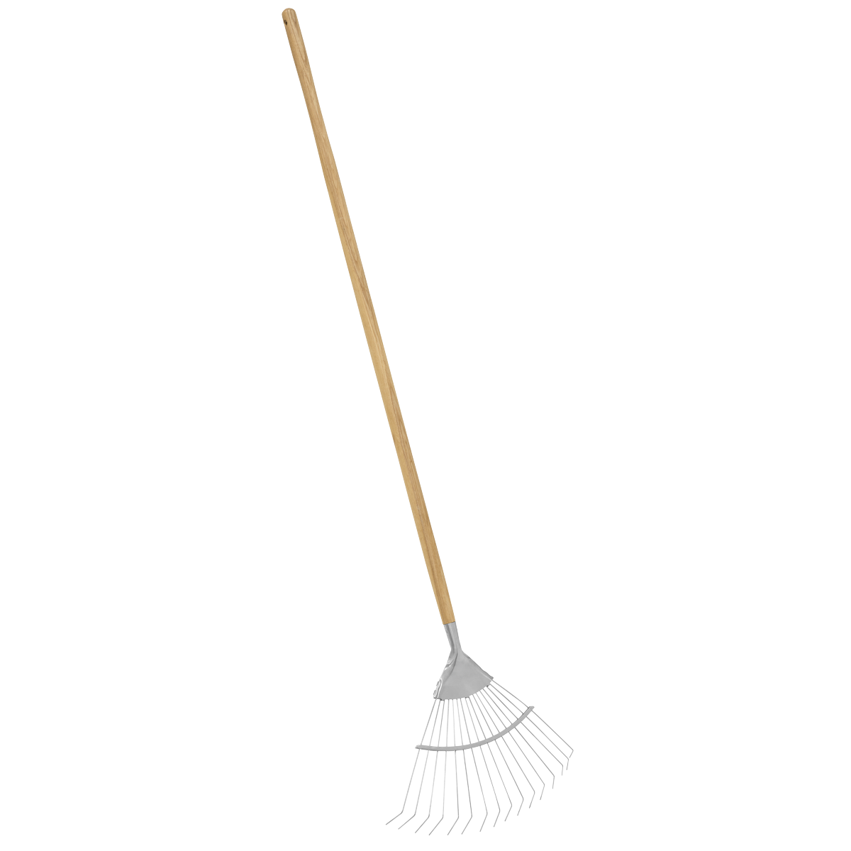 Lawn Rake with Long Ash Handle & Stainless Steel Tines GTWH010