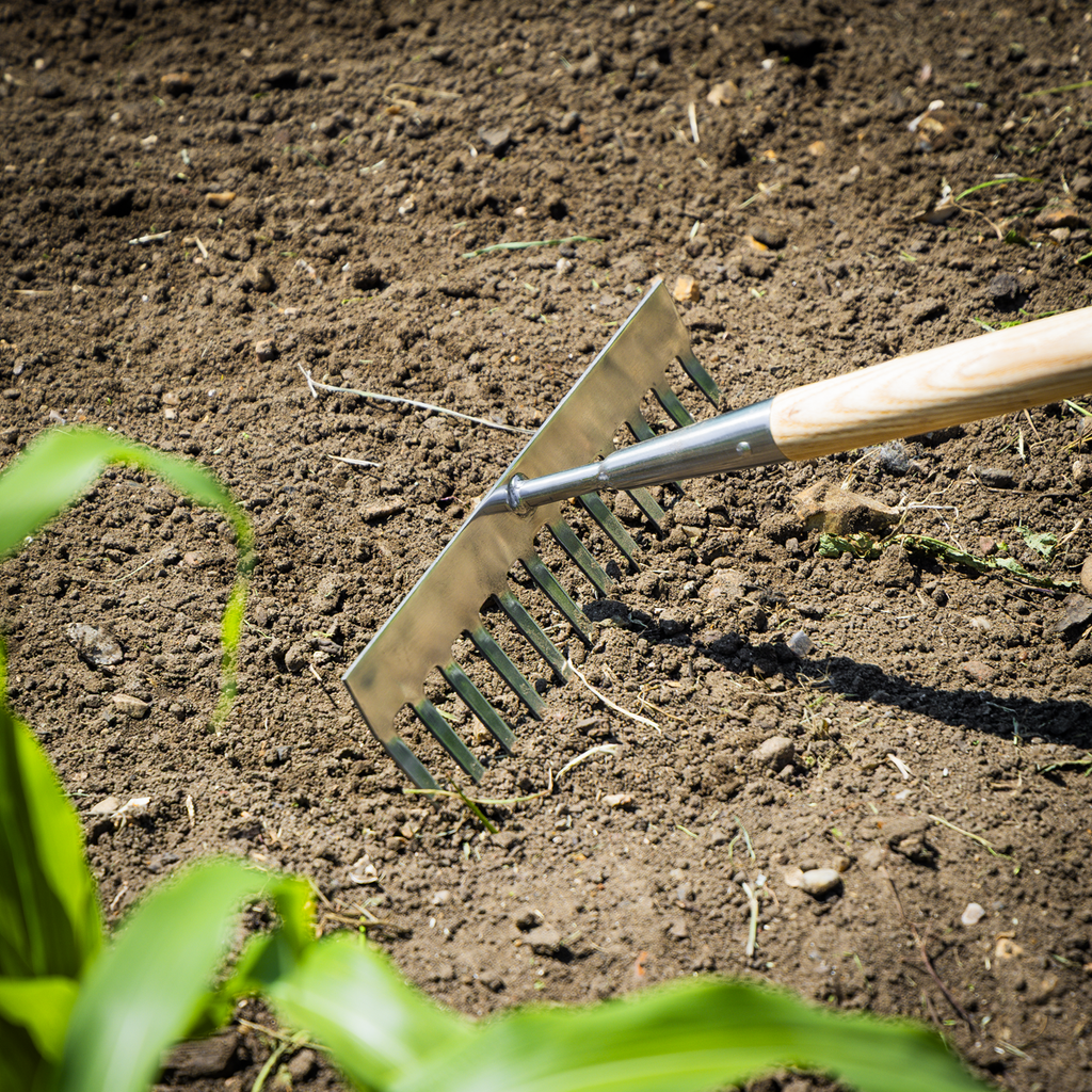 Garden Rake with Long Ash Handle & Stainless Steel Tines GTWH011
