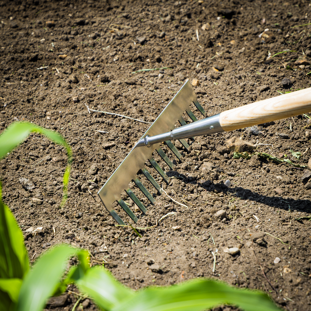 Garden Rake with Long Ash Handle & Stainless Steel Tines GTWH011
