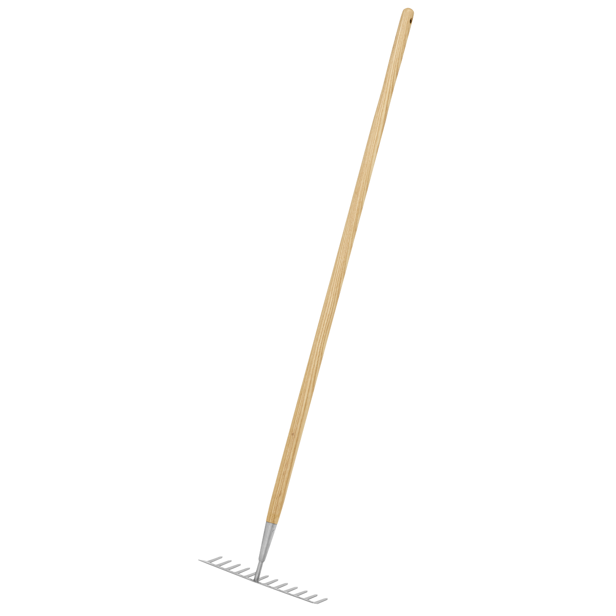 Garden Rake with Long Ash Handle & Stainless Steel Tines GTWH011