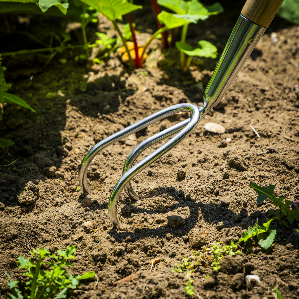 Garden Cultivator with Ash Handle & Stainless Steel Tines GTWH012