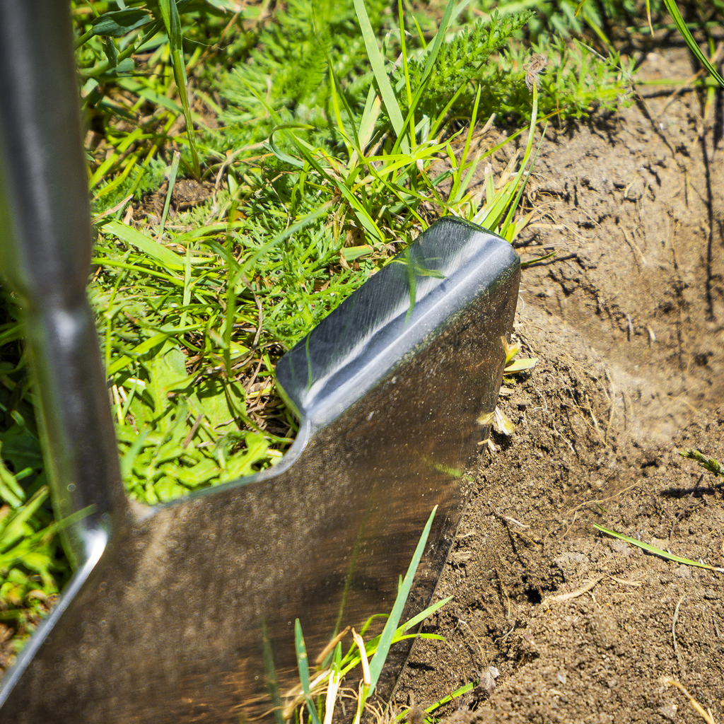 Lawn Edger with Long Ash Handle & Stainless Steel Blade GTWH014