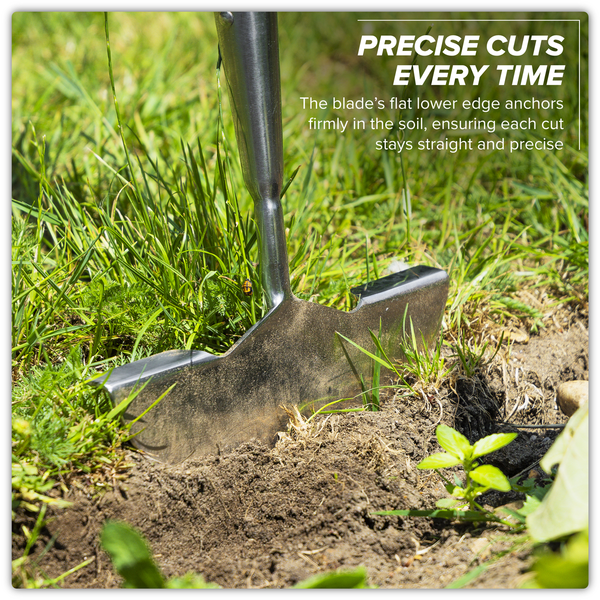 Lawn Edger with Long Ash Handle & Stainless Steel Blade GTWH014