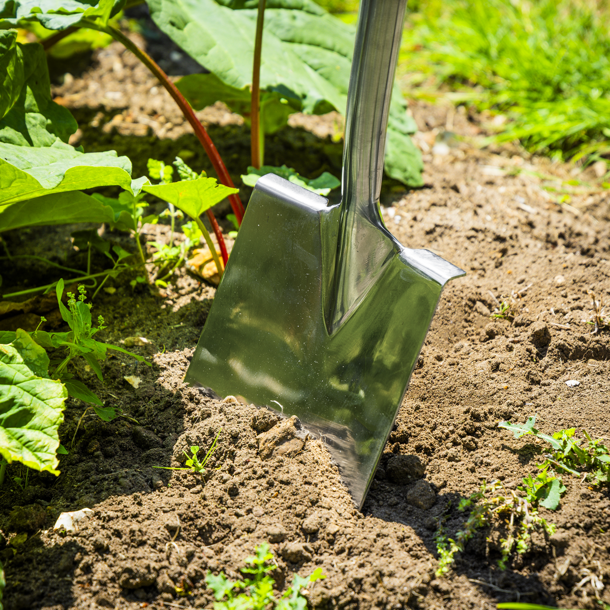 Digging Spade with Ash Y Handle & Stainless Steel Blade GTWH015