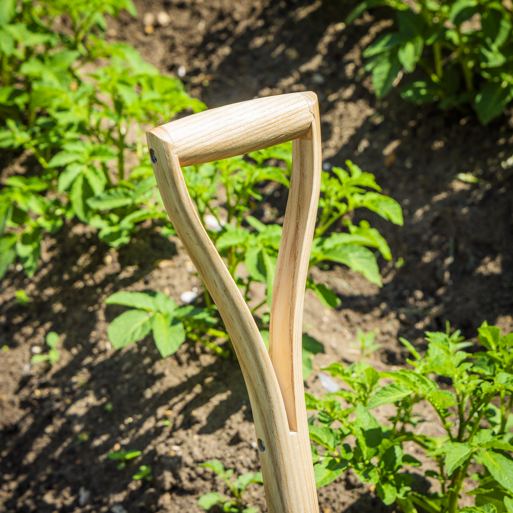 Digging Fork with Ash Y Handle & Stainless Steel Tines GTWH016