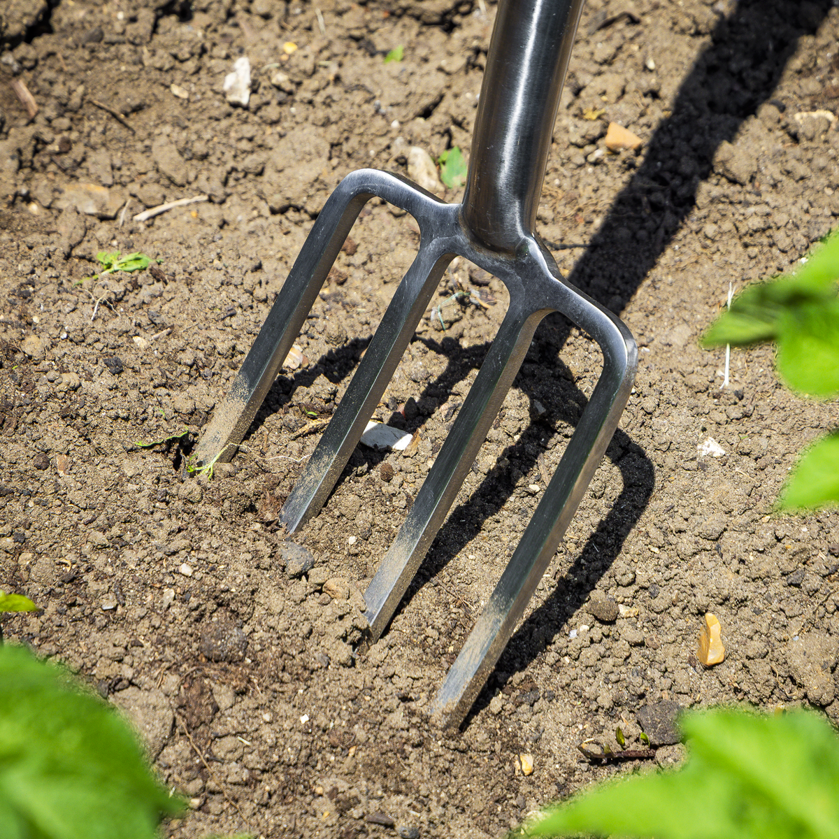 Digging Fork with Ash Y Handle & Stainless Steel Tines GTWH016