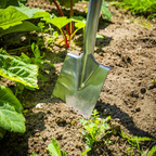 Border Spade with Ash Y Handle & Stainless Steel Blade GTWH017