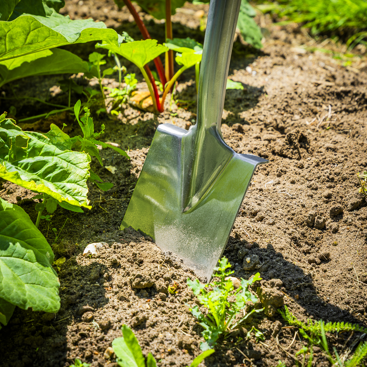 Border Spade with Ash Y Handle & Stainless Steel Blade GTWH017