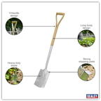 Border Spade with Ash Y Handle & Stainless Steel Blade GTWH017