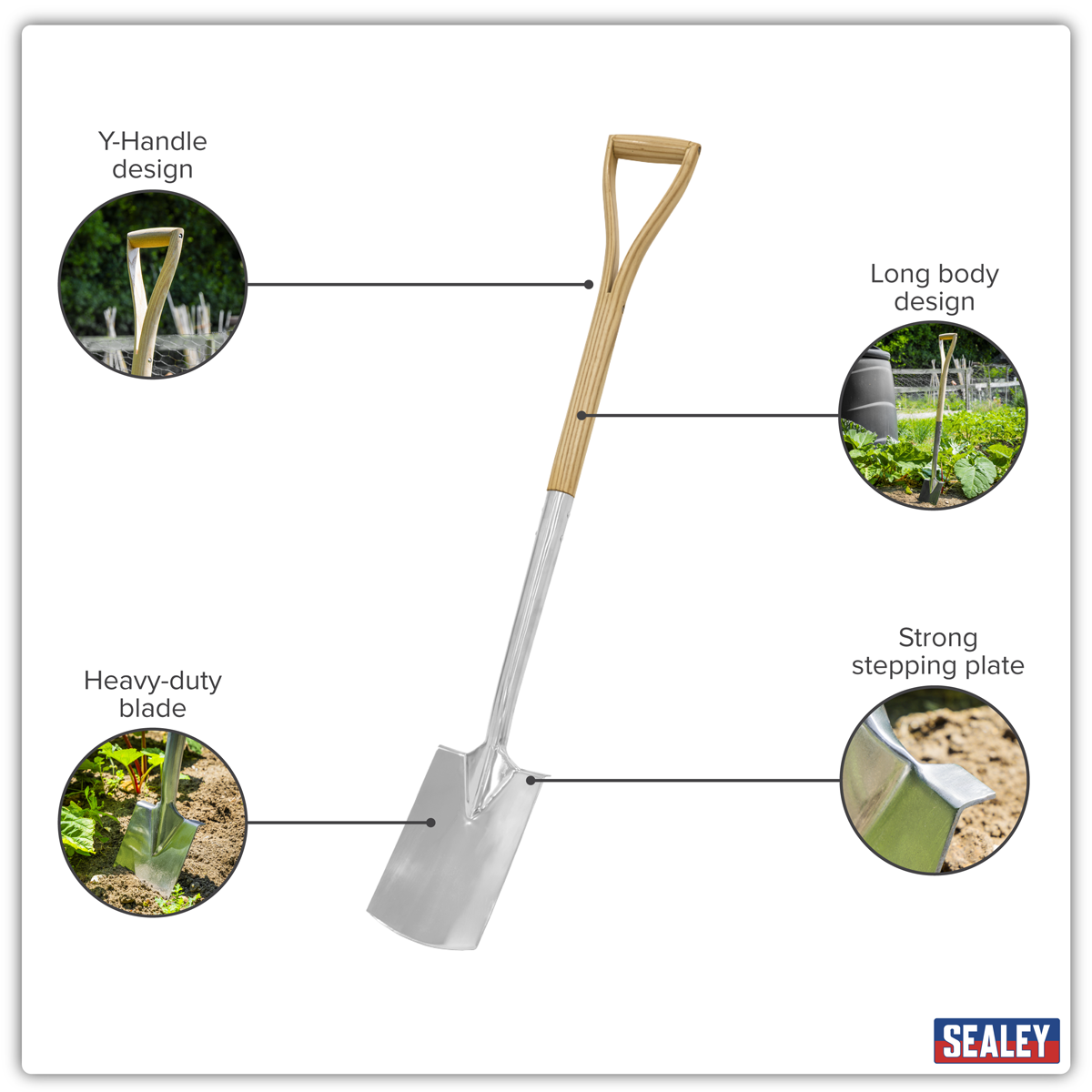 Border Spade with Ash Y Handle & Stainless Steel Blade GTWH017