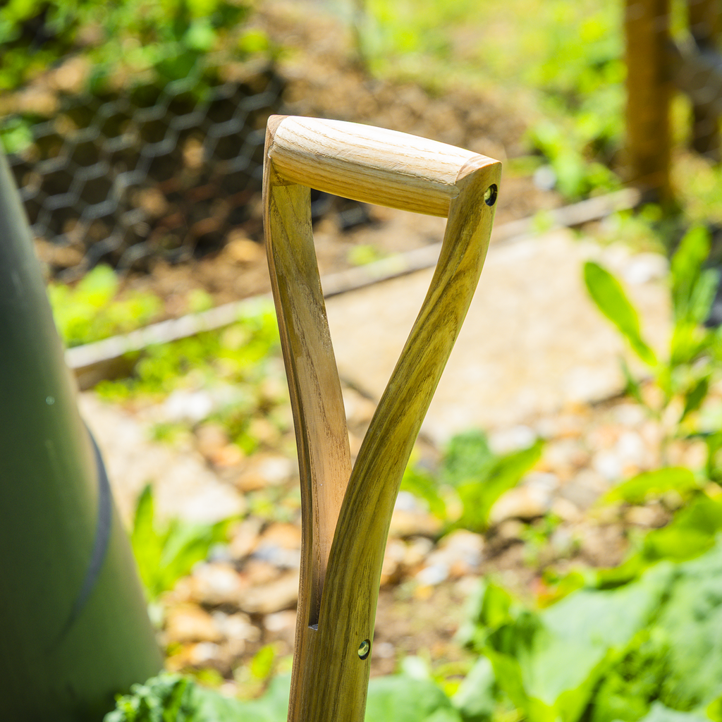 Border Fork with Ash Y Handle & Stainless Steel Tines GTWH018