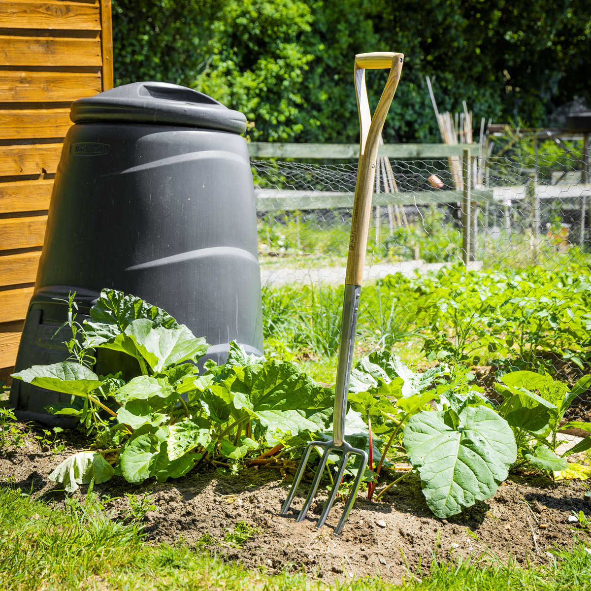 Border Fork with Ash Y Handle & Stainless Steel Tines GTWH018