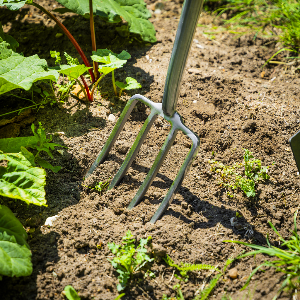 Border Fork with Ash Y Handle & Stainless Steel Tines GTWH018