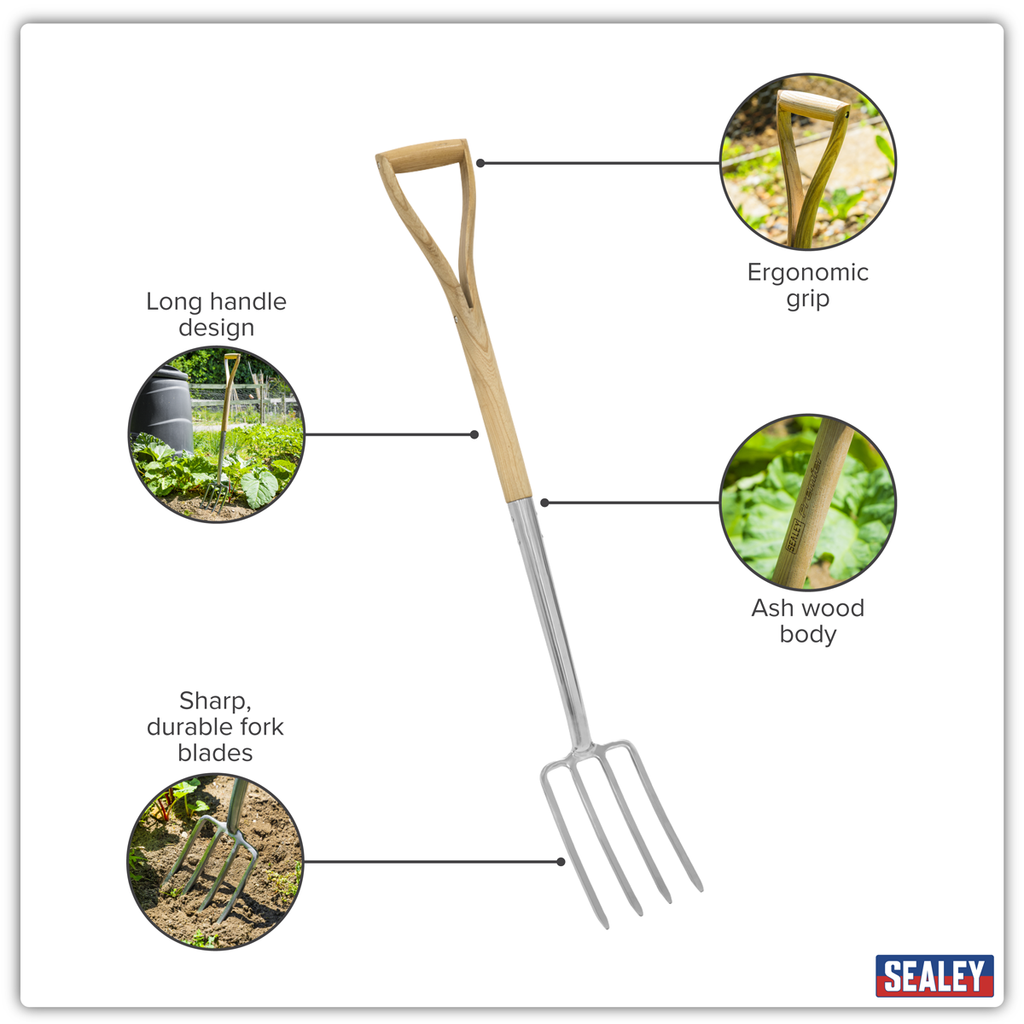 Border Fork with Ash Y Handle & Stainless Steel Tines GTWH018