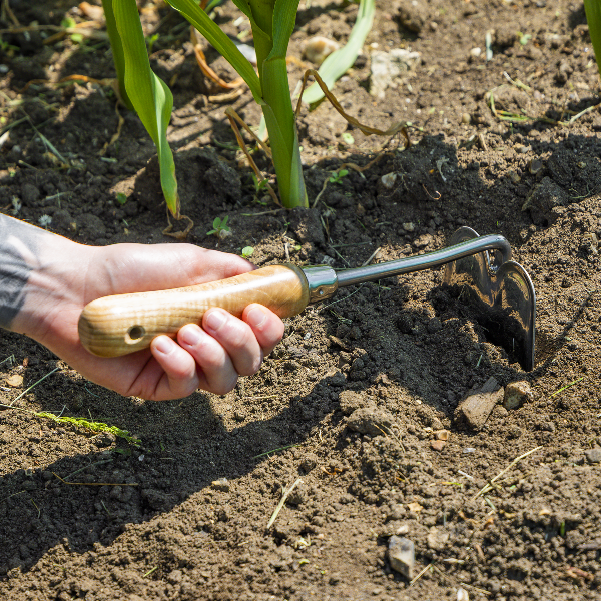 Mini Hoe with Ash Handle & Stainless Steel Blade GTWH019
