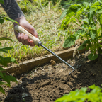 Garden Hand Rake with Short Ash Handle & Stainless Steel Tines GTWH020