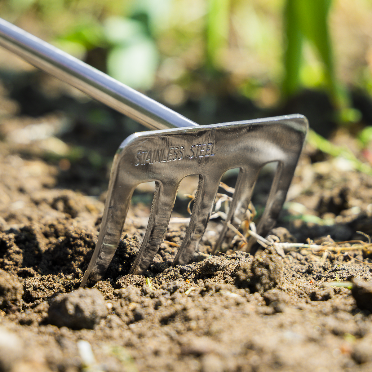 Garden Hand Rake with Short Ash Handle & Stainless Steel Tines GTWH020