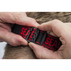 Rechargeable Head Torch with Auto-Sensor 8W COB LED HT08R