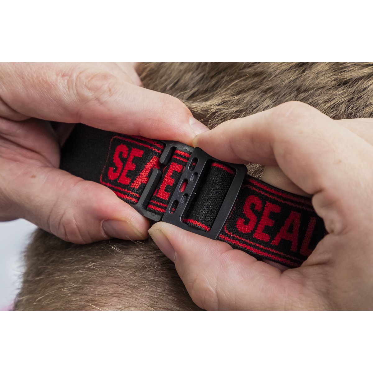 Rechargeable Head Torch with Auto-Sensor 8W COB LED HT08R