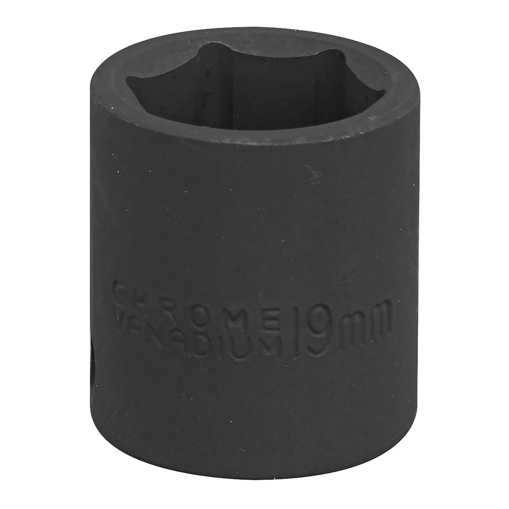 Impact Socket 3/8"Sq Drive 19mm IS3819