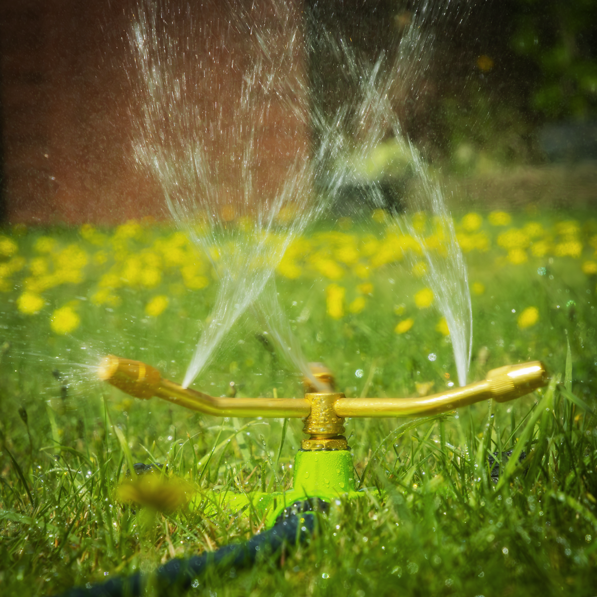 3-Arm Brass Sprinkler with Metal Wheeled Base JS2032