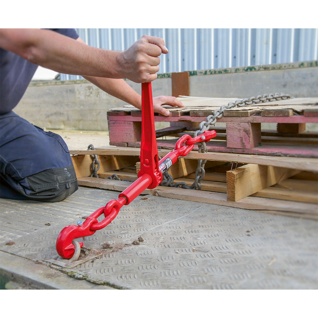 Ratchet Load Binder 9.5-12.7mm 4200kg Capacity LB002