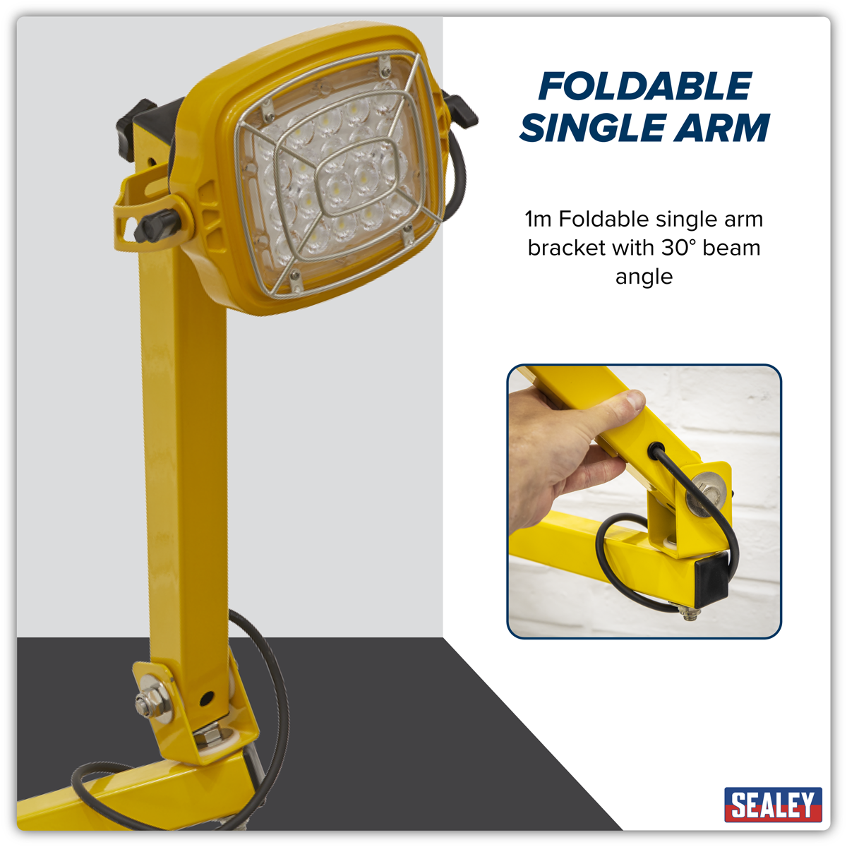 Loading Bay Floodlight 30W SMD LED LED30WDL