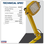 Loading Bay Floodlight 30W SMD LED LED30WDL