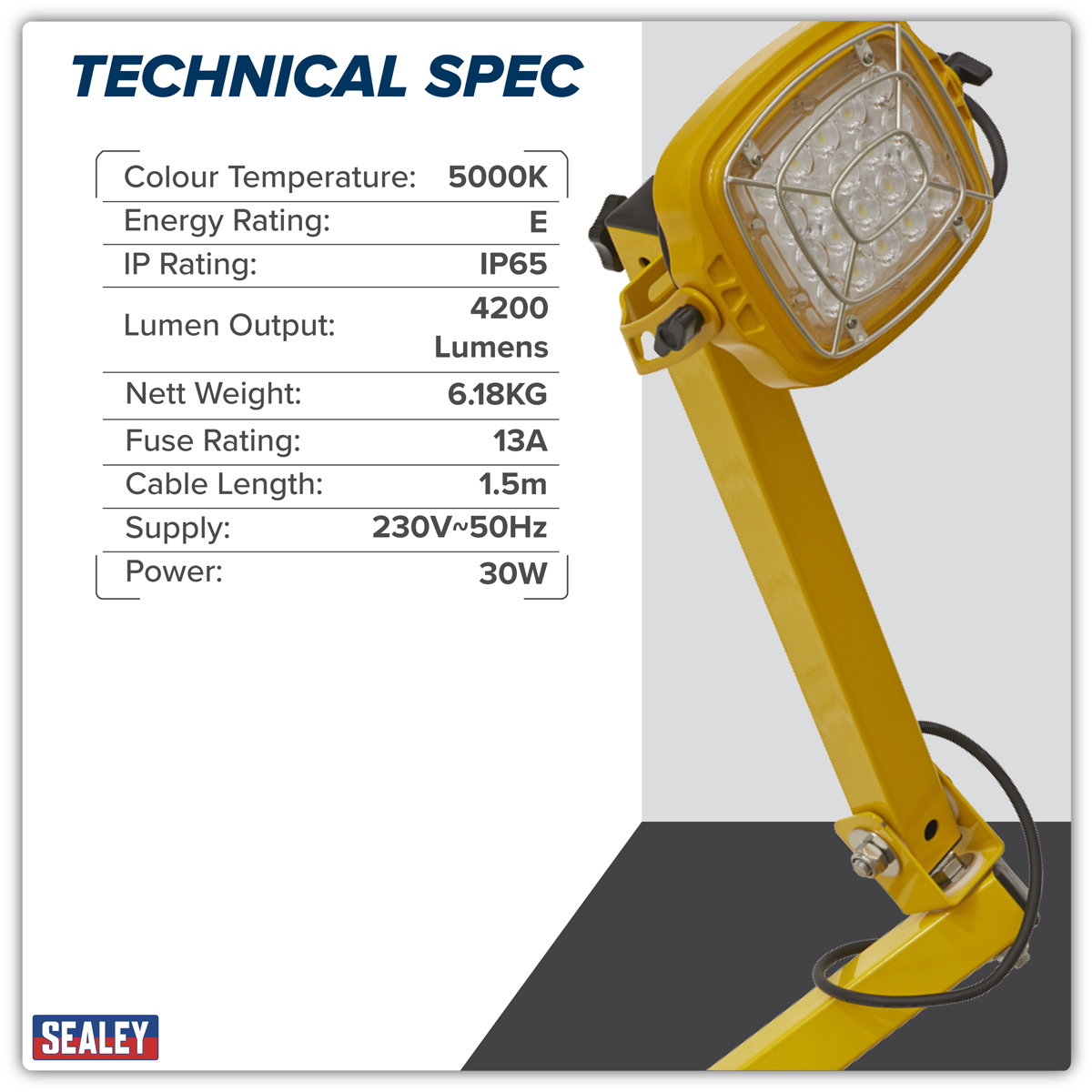 Loading Bay Floodlight 30W SMD LED LED30WDL