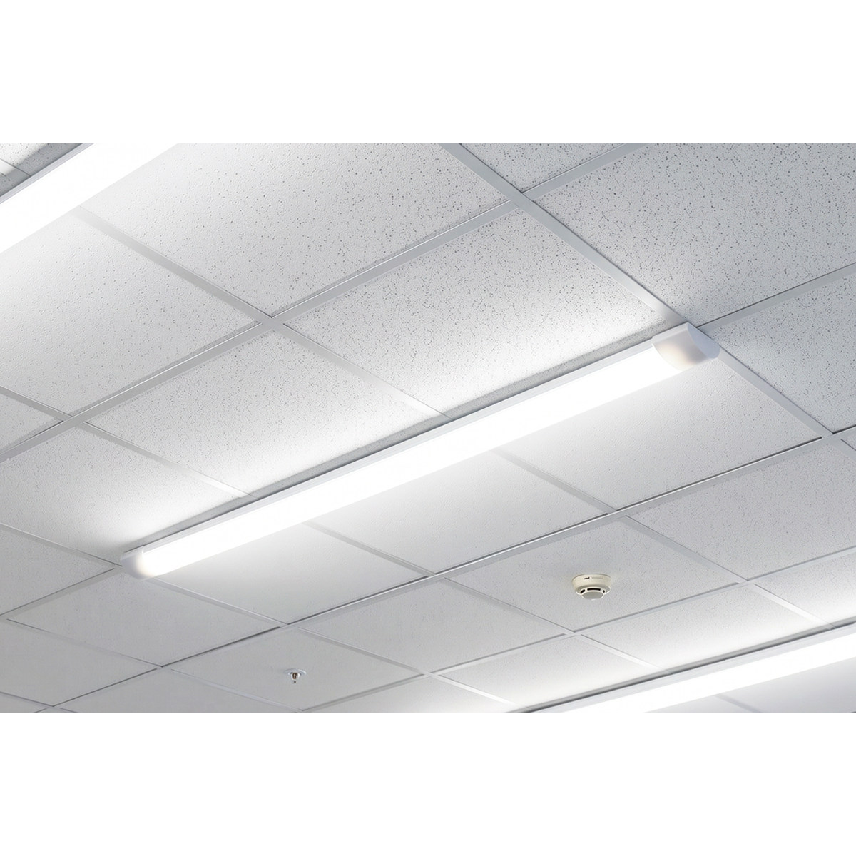 5ft Batten Light 50W SMD LED 230V LED50BL