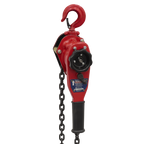 Steel Lever Hoist 1000kg LH1000