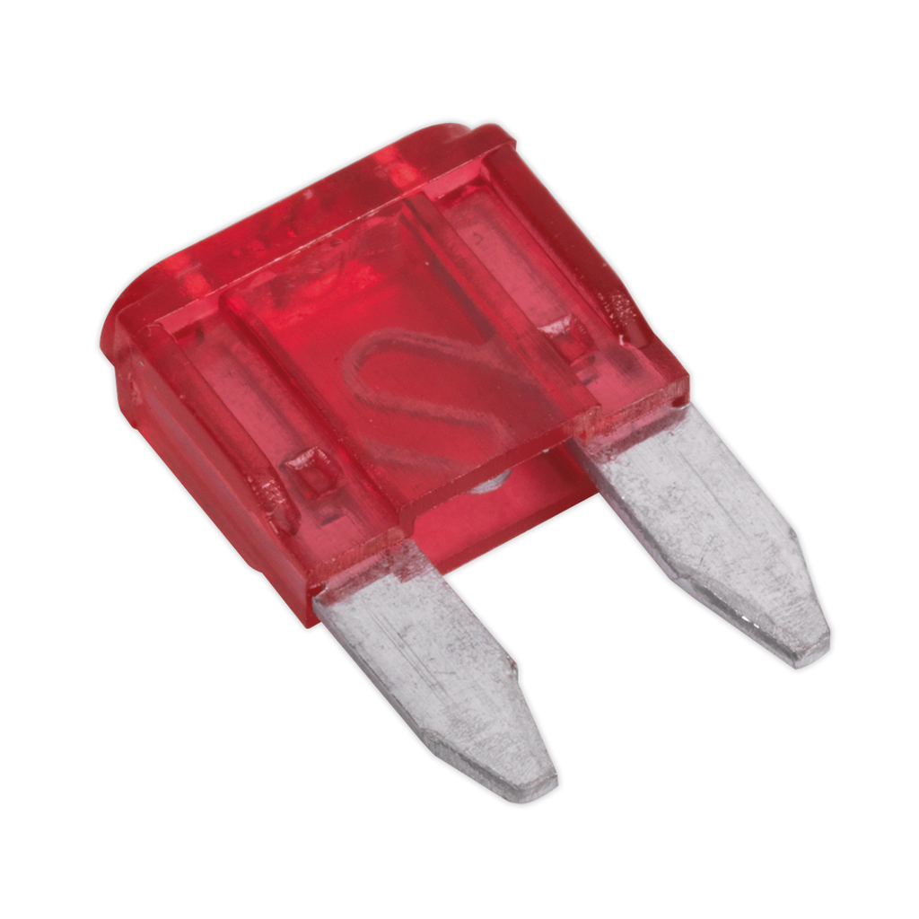 Clip Strip Deal - Automotive Mini Blade Fuses & Holders MBFSET
