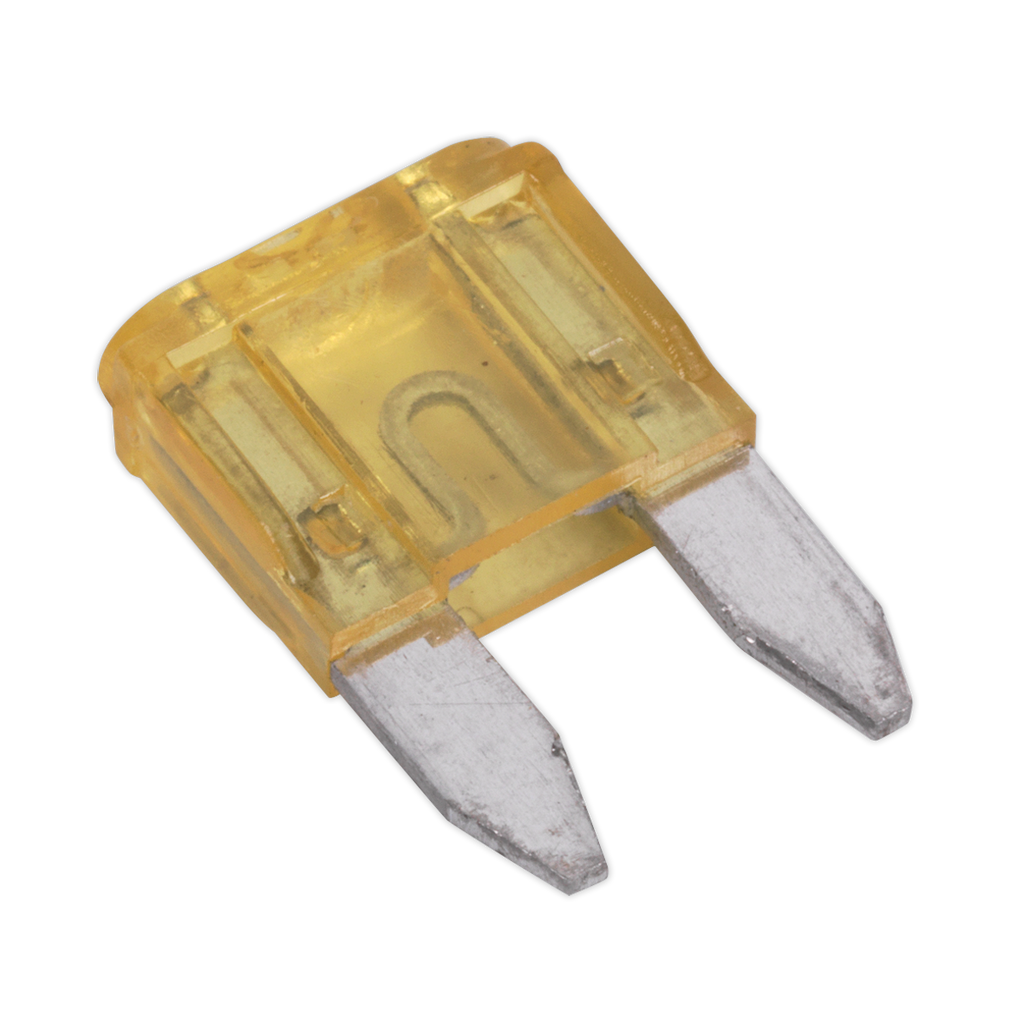 Clip Strip Deal - Automotive Mini Blade Fuses & Holders MBFSET