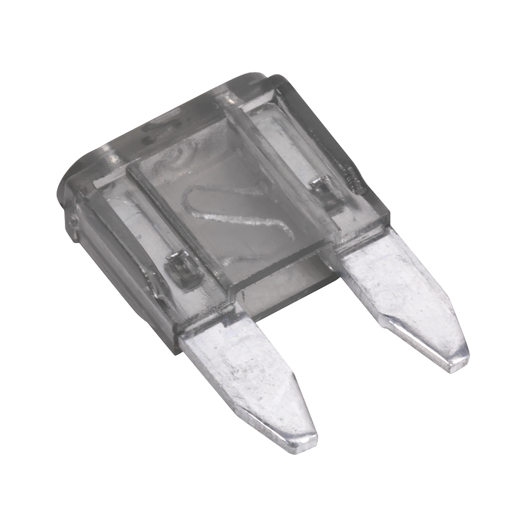 Automotive MINI Blade Fuse 2A - Pack of 50 MBF250