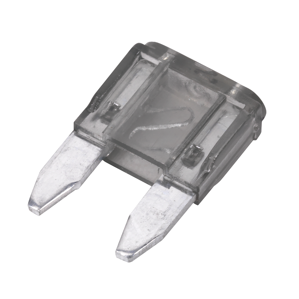 Automotive MINI Blade Fuse 2A - Pack of 50 MBF250