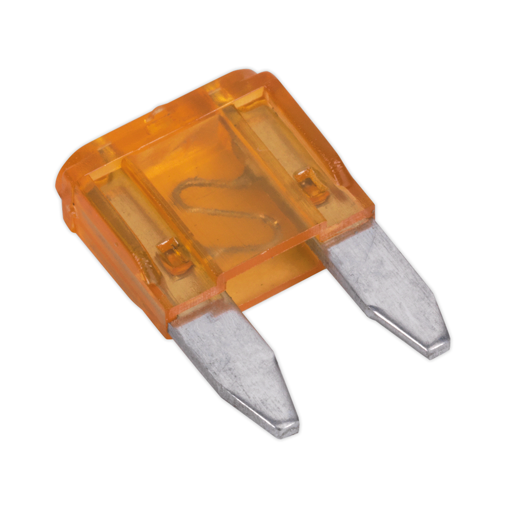 Clip Strip Deal - Automotive Mini Blade Fuses & Holders MBFSET