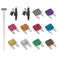 Clip Strip Deal - Automotive Mini Blade Fuses & Holders MBFSET