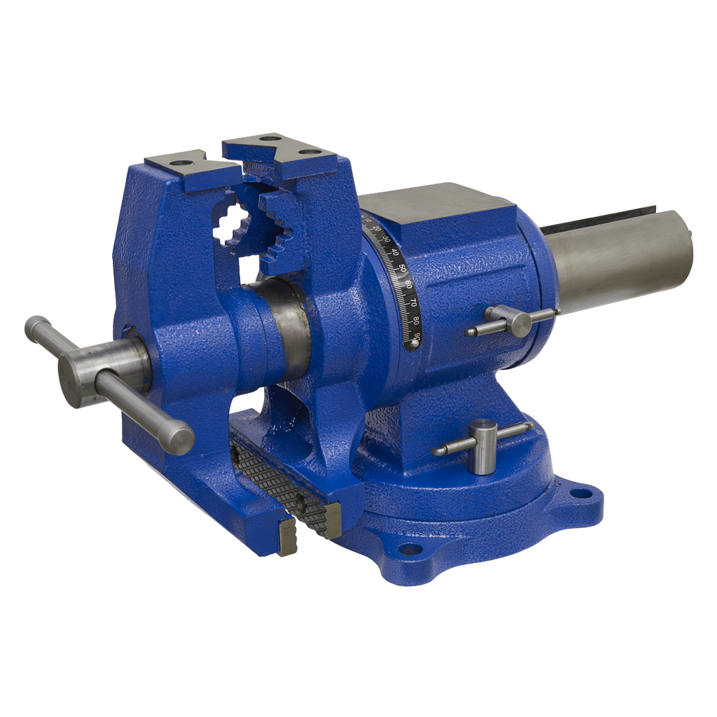 Multifunction Cast Iron Vice with Swivel Base 150mm MFV150