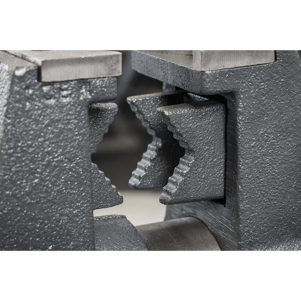 Multifunction Cast Iron Vice with Swivel Base 150mm MFV150