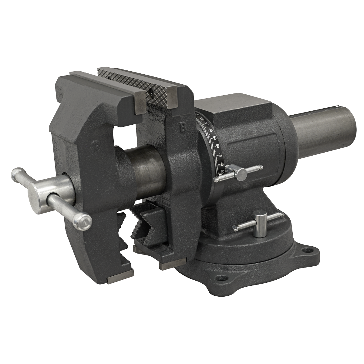 Multifunction Cast Iron Vice with Swivel Base 150mm MFV150