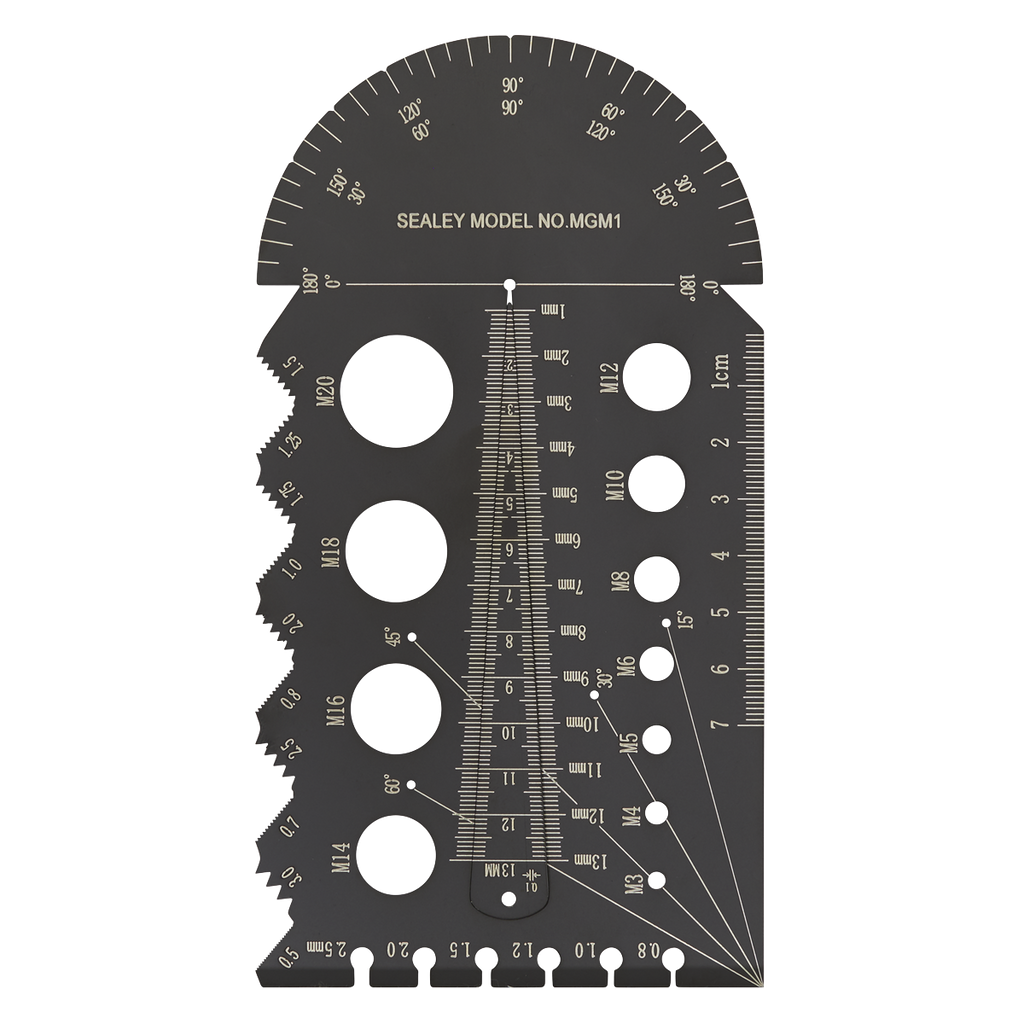 Metric Multi-Gauge MGM1