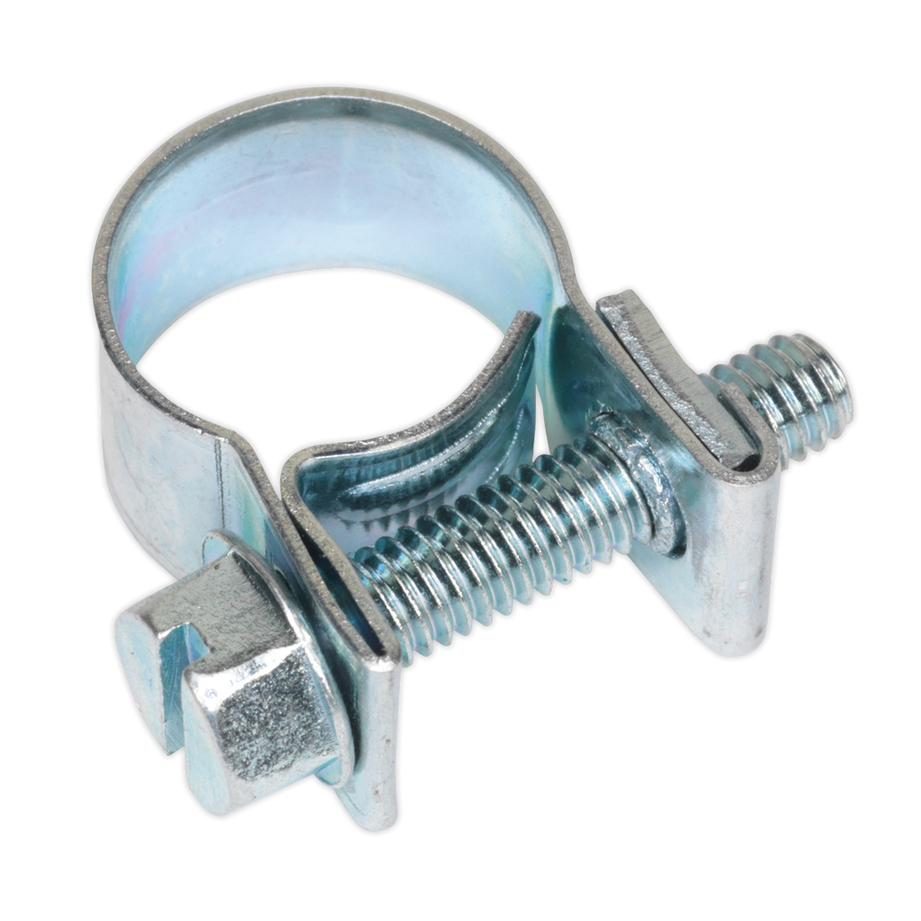Mini Hose Clip 10-12mm - Pack of 30 MHC1012