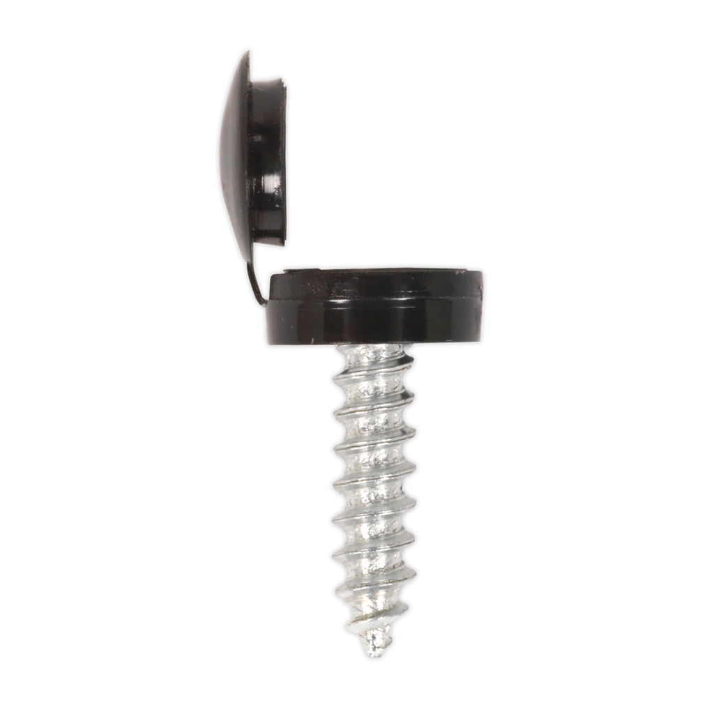 Clip Strip Deal - Mixed Numberplate Screws NPSSET