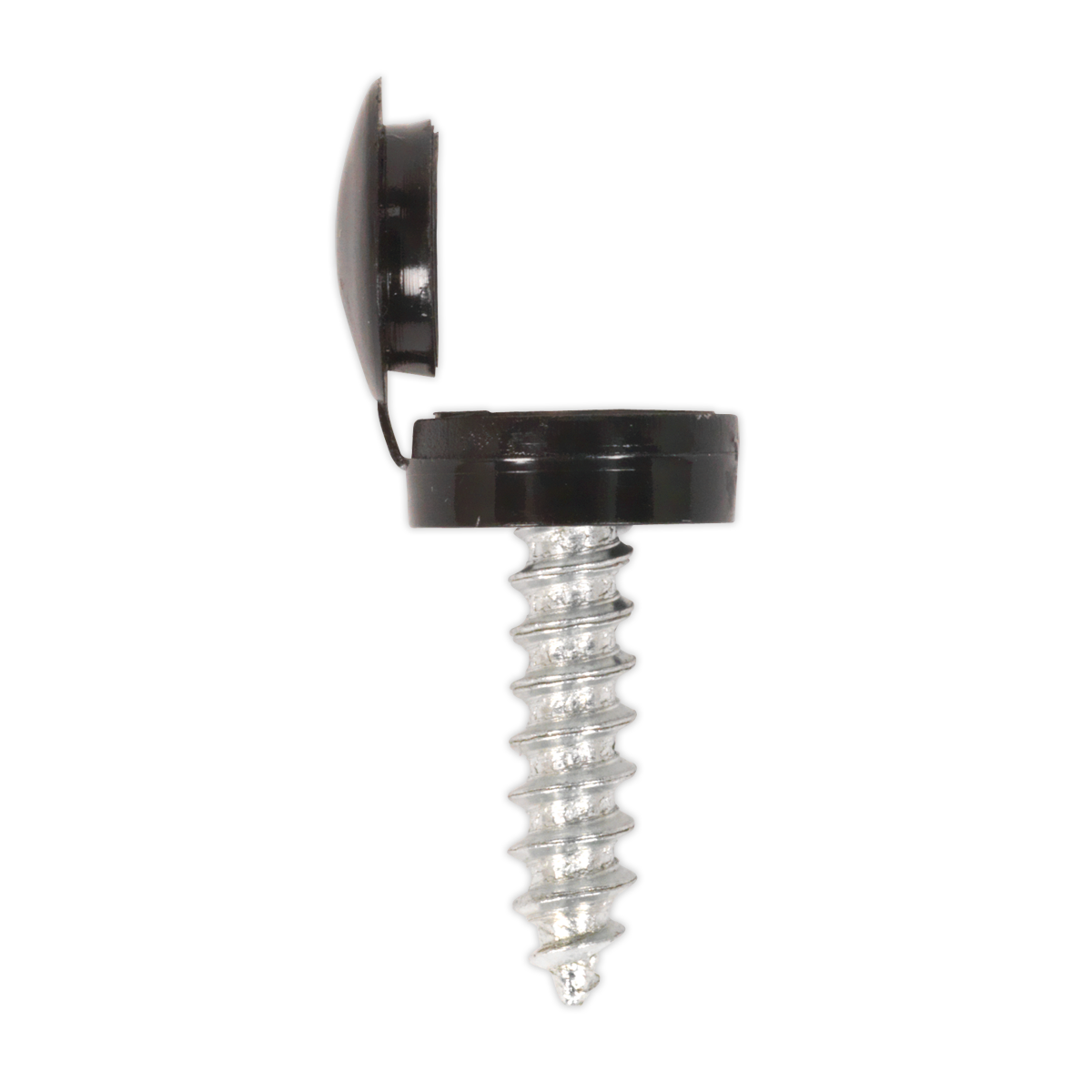 Clip Strip Deal - Mixed Numberplate Screws NPSSET