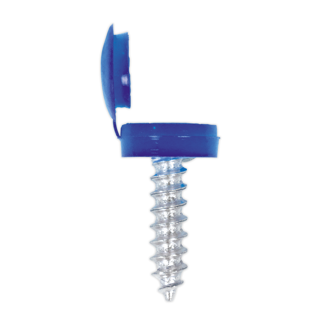 Clip Strip Deal - Mixed Numberplate Screws NPSSET