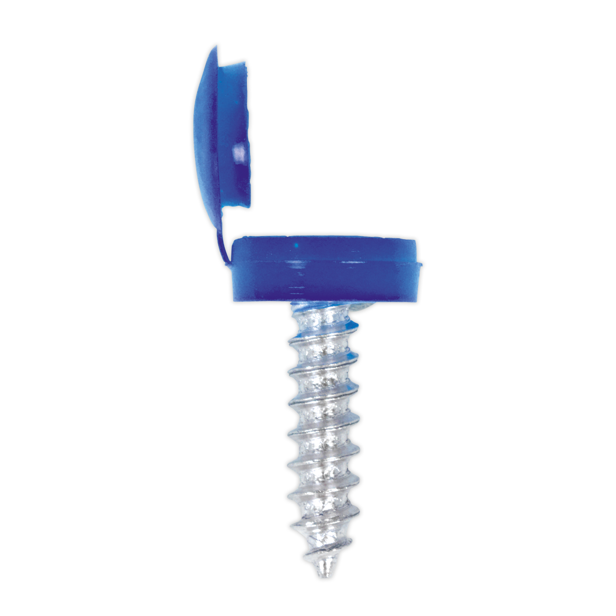 Clip Strip Deal - Mixed Numberplate Screws NPSSET