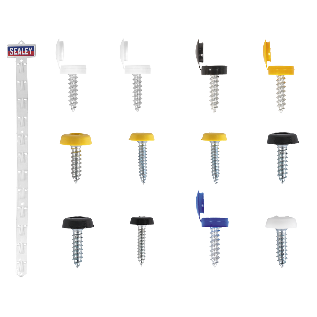 Clip Strip Deal - Mixed Numberplate Screws NPSSET