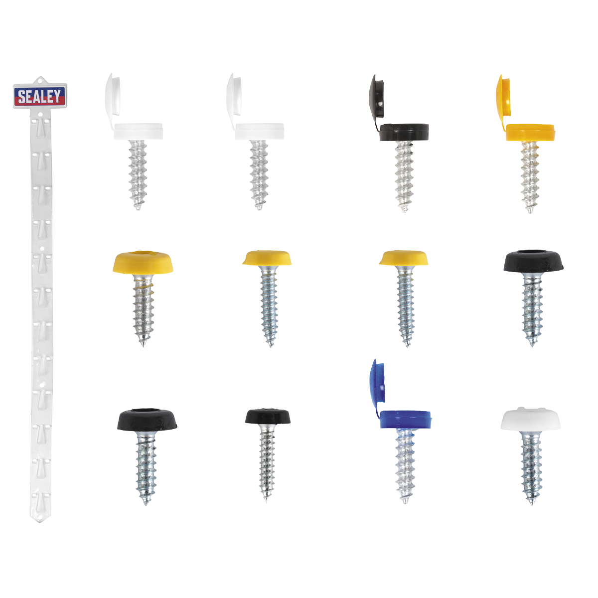 Clip Strip Deal - Mixed Numberplate Screws NPSSET